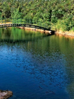 Aquasphere Pond Cleaners -Nature's Yard Sales Store 37425 001ed 1