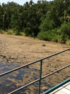 Blast, 2,500 Gallon, 5 Packets -Nature's Yard Sales Store 37425 001v 1 1