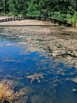 Aquasphere Pond Cleaners -Nature's Yard Sales Store 37425 002ed 1