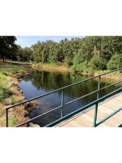 Blast, 125,000 Gallon, 12 Packets -Nature's Yard Sales Store 37425 002v 1