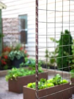 Jardin Rose Arch -Nature's Yard Sales Store 38690 9948 tif