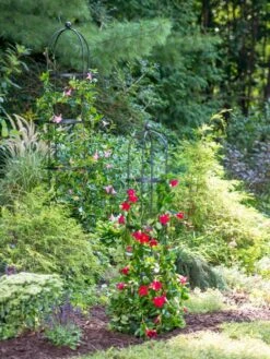 Essex Round Trellises 9 Essex Round Trellises -Nature's Yard Sales Store 39545 2286 tif