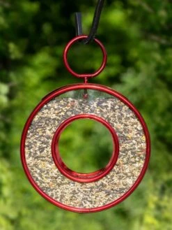 Circle Fly-Thru™ Bird Feeder With A Ruby Red Finish