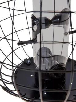 Mixed Seed Globe Cage Feeder -Nature's Yard Sales Store 8586659 6400