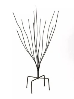 Bottle Bush -Nature's Yard Sales Store 8588047 0697