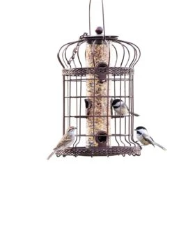 Edwardian Bird Feeder -Nature's Yard Sales Store 8590897 200151 tif