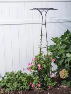 Essex Tuteur, 63" 8 Essex Tuteur, 63" -Nature's Yard Sales Store 8594162 0023 tif