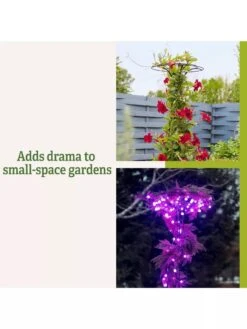 Essex Tuteur, 63" 11 Essex Tuteur, 63" -Nature's Yard Sales Store 8594162 3