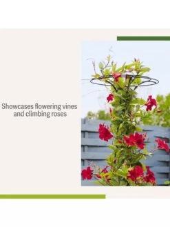 Essex Tuteur, 63" 10 Essex Tuteur, 63" -Nature's Yard Sales Store 8594162 4