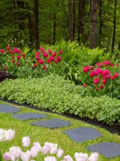 Recycled Rubber Flagstone Stepping Stone 16 Recycled Rubber Flagstone Stepping Stone -Nature's Yard Sales Store 8594282 518 tif