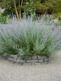 Rock Lock Interlocking Garden System, Curved Sets 11 Rock Lock Interlocking Garden System, Curved Sets -Nature's Yard Sales Store 8598737 04V tif