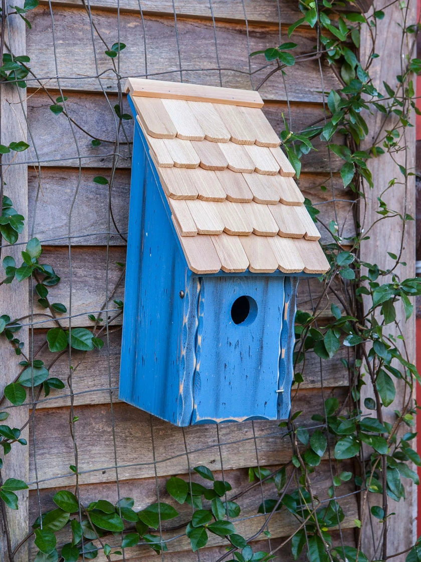 Heartwood Bluebird Bunkhouse Bird House 2 Heartwood Bluebird Bunkhouse Bird House - Image 2