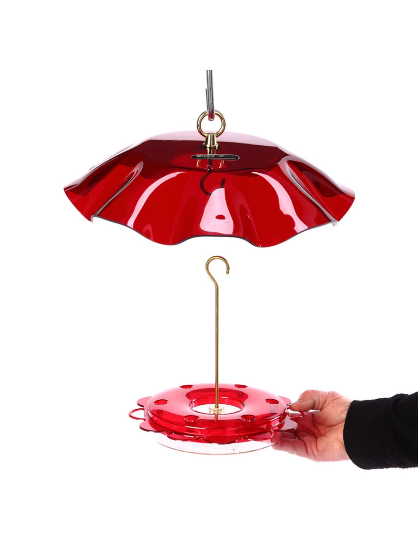 Birds Choice™ Hummingbird Nectar Feeder With Weather Guard Kit 2 Birds Choice™ Hummingbird Nectar Feeder With Weather Guard Kit - Image 2