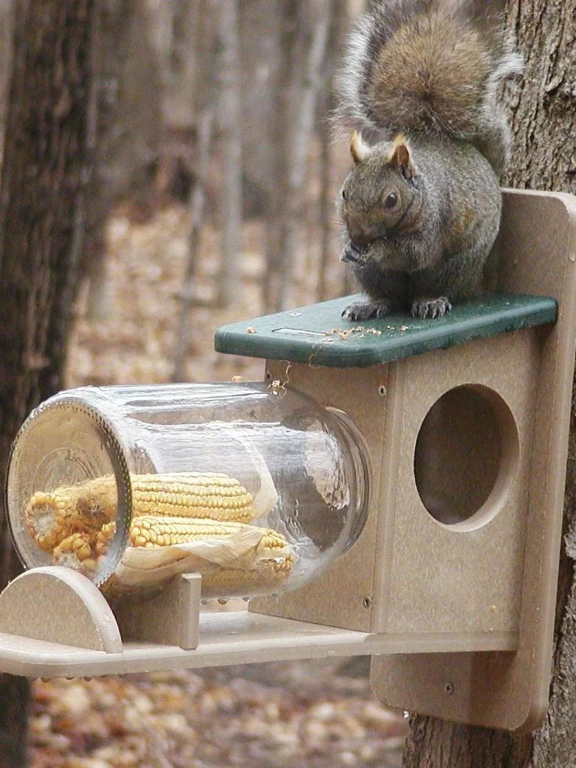 Birds Choice™ Squirrel Jar Feeder 1 Birds Choice™ Squirrel Jar Feeder
