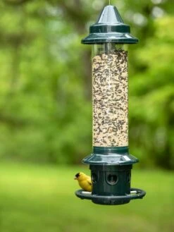 Brome ® Squirrel Buster Plus™ Bird Feeder