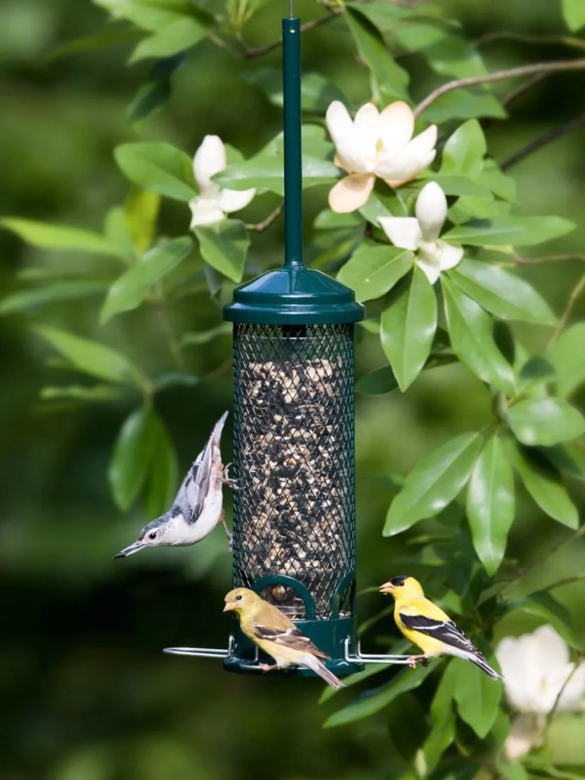 Brome® Squirrel Buster™ Mini Bird Feeder 1 Brome® Squirrel Buster™ Mini Bird Feeder