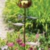 Dahlia Butterfly Feeder