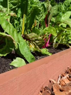 Straight Landscape Edging Kit With 2" Boards 6 Straight Landscape Edging Kit With 2" Boards -Nature's Yard Sales Store 8599408 02V tif