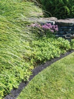 Recycled Rubber Mulch Edging, 12’ X 6” -Nature's Yard Sales Store 8599854 0897 tif