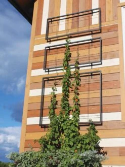 Exeter Wall Trellis 9 Exeter Wall Trellis -Nature's Yard Sales Store 8600049 7121 tif