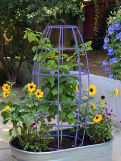 Toki Bubble Trellis -Nature's Yard Sales Store 8600520 02V tif