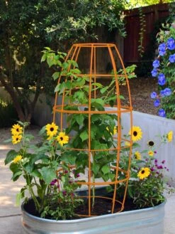 Toki Bubble Trellis -Nature's Yard Sales Store 8600520 03V tif