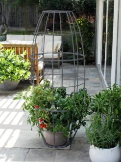 Toki Bubble Trellis -Nature's Yard Sales Store 8600520 07V jpg