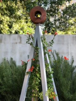 Bird Cafe + Akoris Garden Tuteur Sr. -Nature's Yard Sales Store 8600525 07v 1