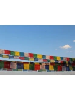 Tibetan Prayer Flags -Nature's Yard Sales Store 8600646 01v