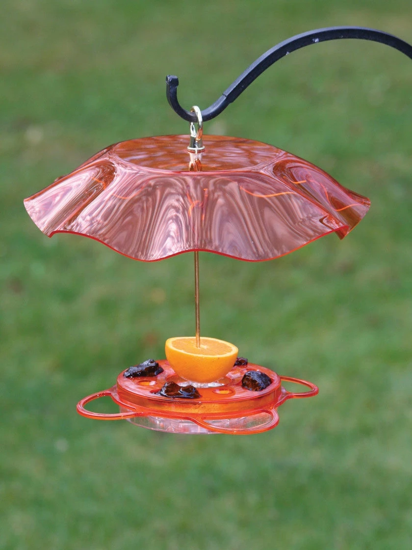 Birds Choice™ Oriole Feeder With Bee And Weather Guard 1 Birds Choice™ Oriole Feeder With Bee And Weather Guard