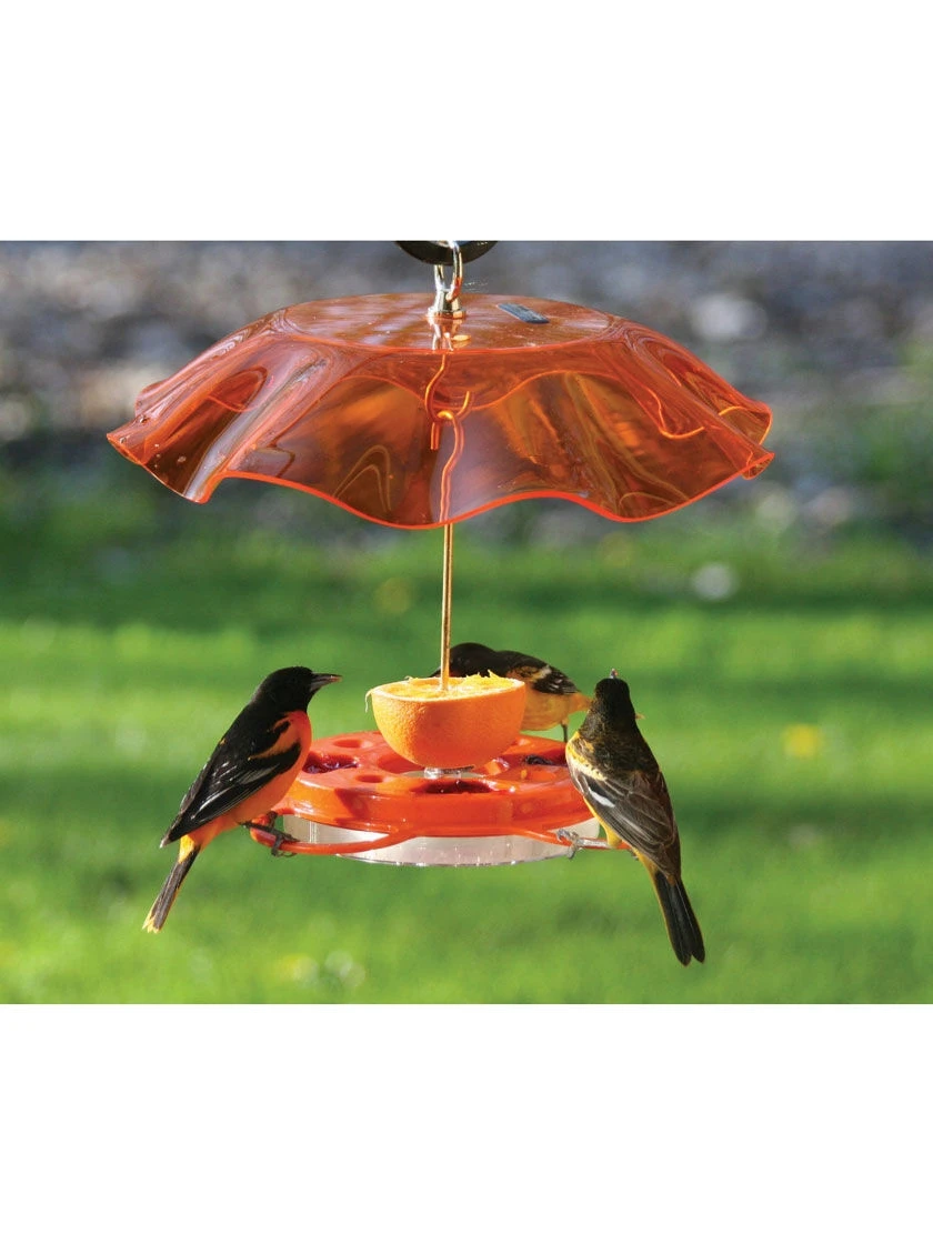 Birds Choice™ Oriole Feeder With Bee And Weather Guard 2 Birds Choice™ Oriole Feeder With Bee And Weather Guard - Image 2