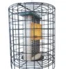 Birds Choice Double Cake Suet Feeder With Cage
