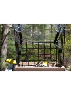 Birds Choice Window Mount Bird Feeder Kits -Nature's Yard Sales Store 8608818 01v