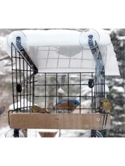 Birds Choice Window Mount Bird Feeder Kits -Nature's Yard Sales Store 8608818 06v