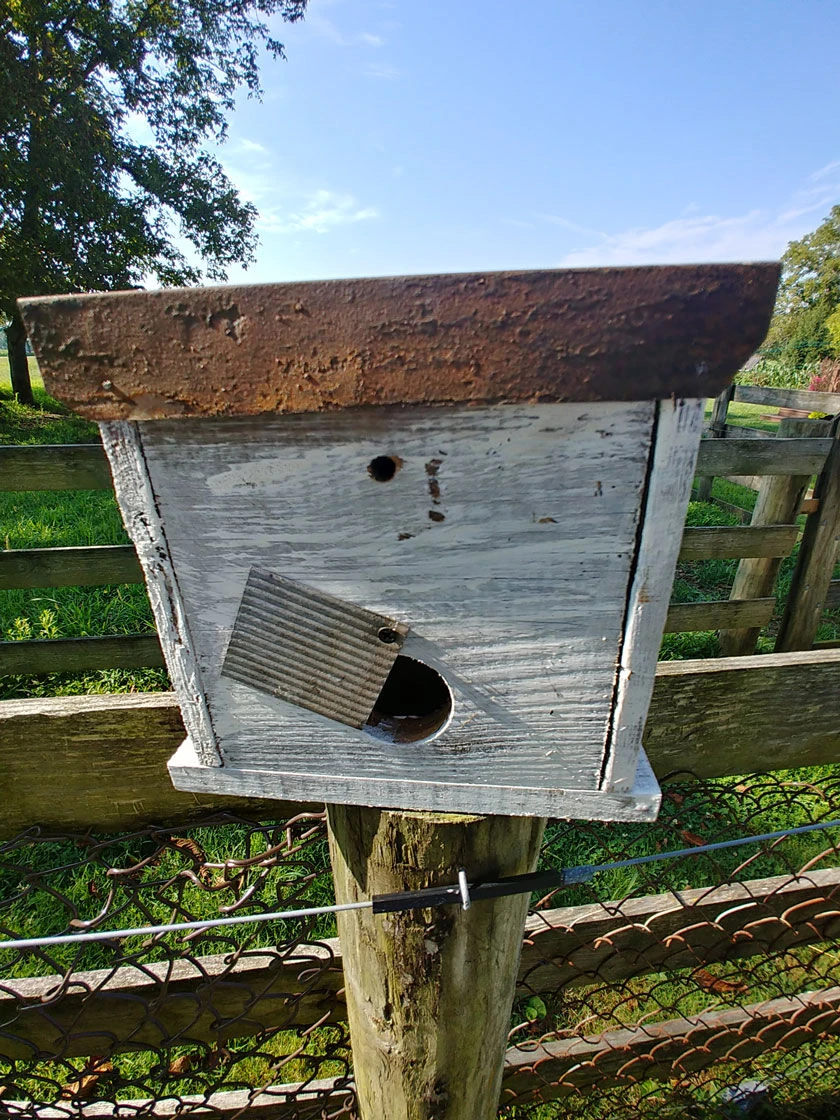Cumberland Chicken Coop Bird House 3 Cumberland Chicken Coop Bird House - Image 3