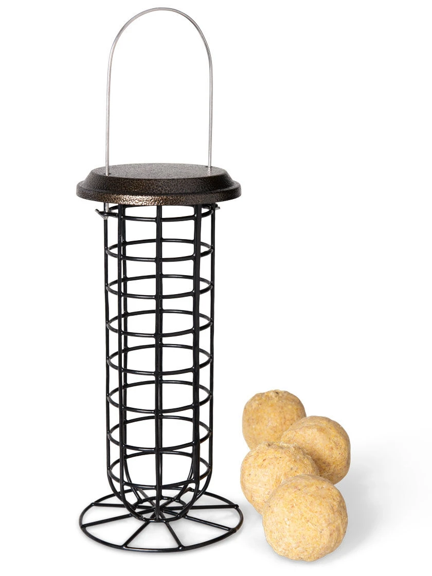 Suet Ball & Feeder Combo Set 2 Suet Ball & Feeder Combo Set - Image 2