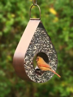 Teardrop Fly-Thru™ Bird Feeder 7 Teardrop Fly-Thru™ Bird Feeder -Nature's Yard Sales Store 8609054 02v