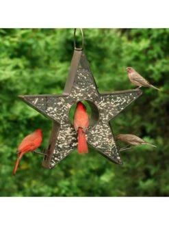 Star Fly-Thru™ Bird Feeder