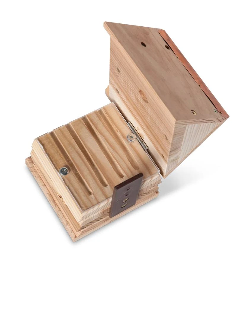 Solitary Bee Hive 5 Solitary Bee Hive - Image 5