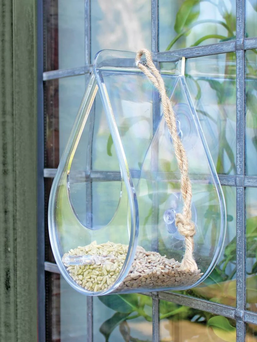 Dewdrop Window Bird Feeder 1 Dewdrop Window Bird Feeder