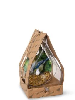 Dewdrop Window Bird Feeder 7 Dewdrop Window Bird Feeder -Nature's Yard Sales Store 8609061 4444 tif