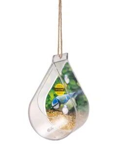 Dewdrop Window Bird Feeder 6 Dewdrop Window Bird Feeder -Nature's Yard Sales Store 8609061 4447 tif