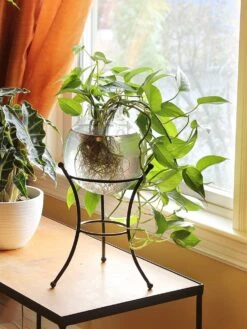 Achla Designs Multi Use Stand -Nature's Yard Sales Store 8609343 01v achla designs multi use stand