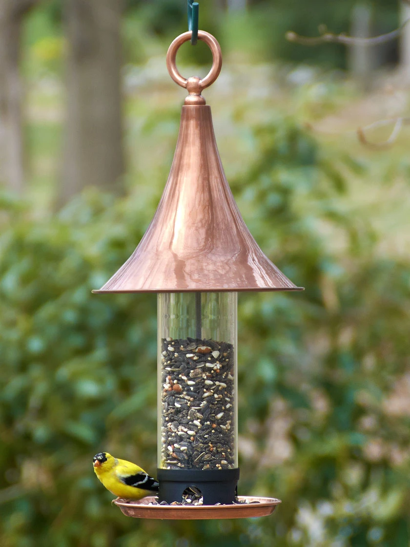 Castella Bird Feeder 1 Castella Bird Feeder