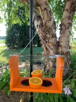 Birds Choice™ Oriole Feeder