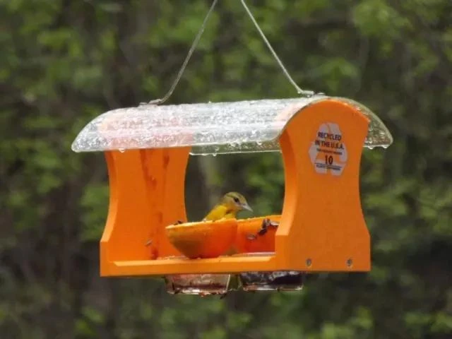 Birds Choice™ Oriole Feeder 2 Birds Choice™ Oriole Feeder - Image 2