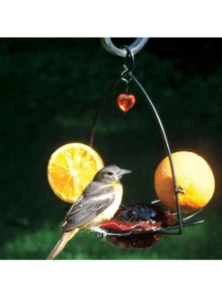 Birds Choice ™ Oriole Flower Feeder -Nature's Yard Sales Store 8610154 03v