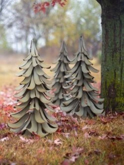 Desert Steel Blue Atlas Cedar 13 Desert Steel Blue Atlas Cedar -Nature's Yard Sales Store 8610550 07v