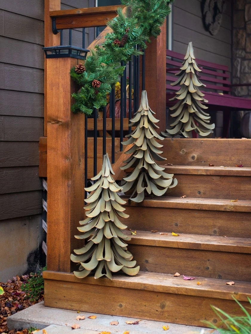 Desert Steel Blue Atlas Cedar 2 Desert Steel Blue Atlas Cedar - Image 2