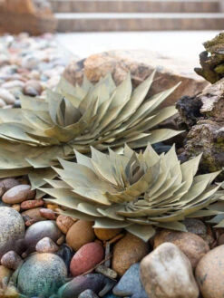 Desert Steel Spiral Aloe Sculpture